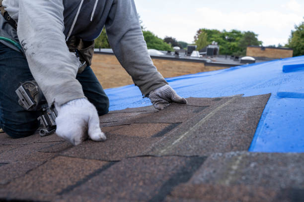 Best Sealant for Roof  in Fruitdale, CA