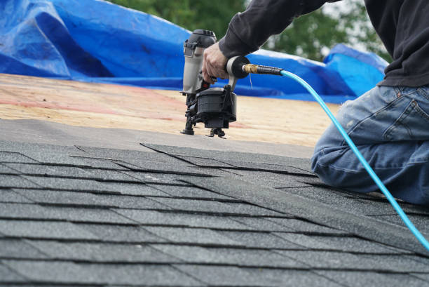 Roof Gutter Cleaning in Fruitdale, CA